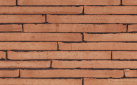������ ������������ Terca Wasserstrich Special Orient Red, 500*100*40 �� ����