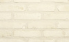 Кирпич облицовочный Terca Duifwit, 188*88*48 мм фотография Кирпич облицовочный Terca Duifwit, 188*88*48 мм фото